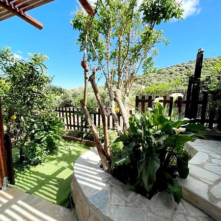 Villa Platipodi Stone House Nikithianos Exterior foto