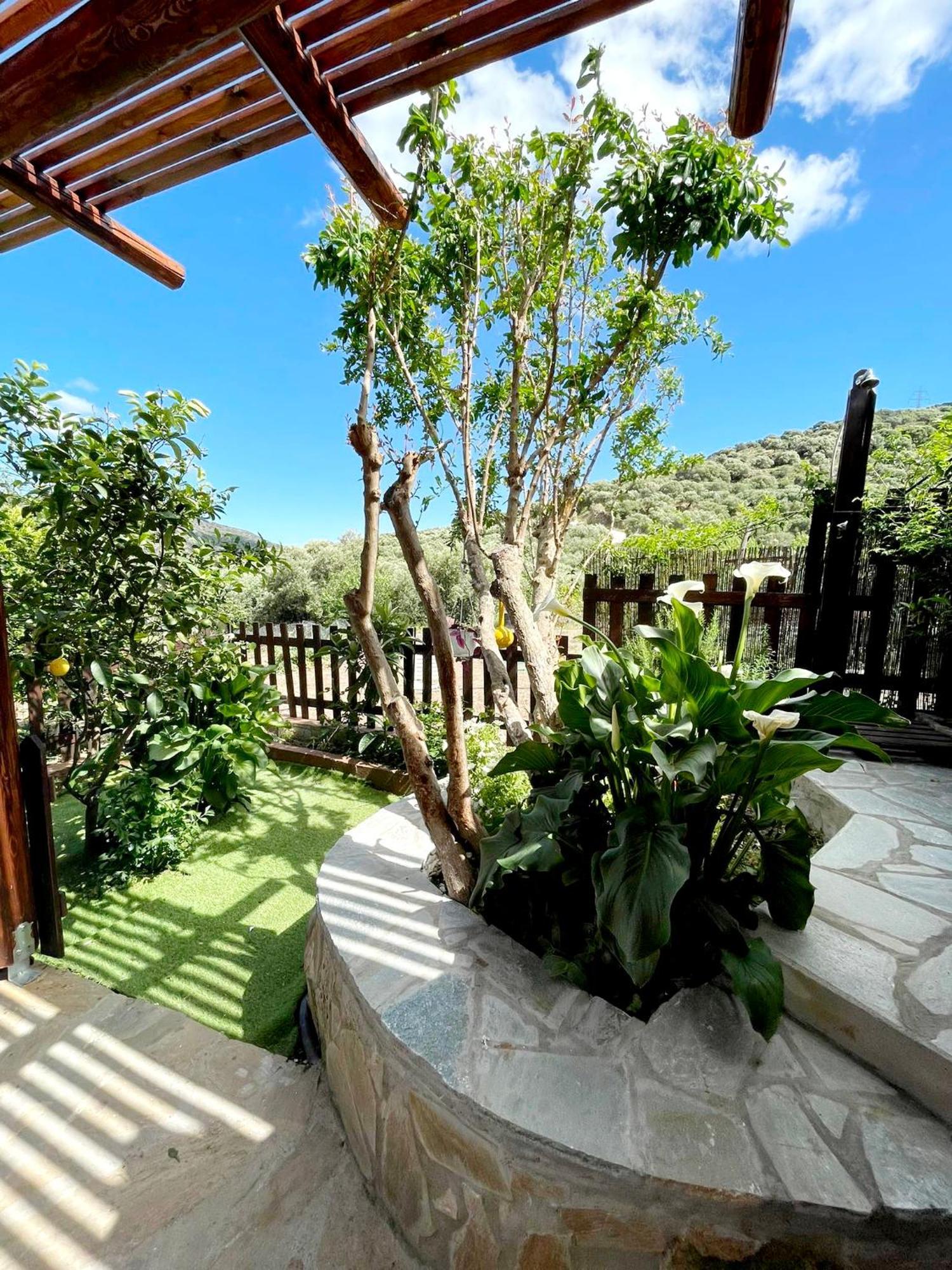 Villa Platipodi Stone House Nikithianos Exterior foto